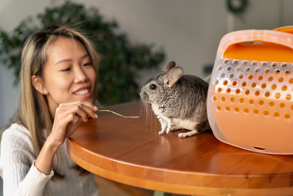 נטרול ריחות מכרסמים